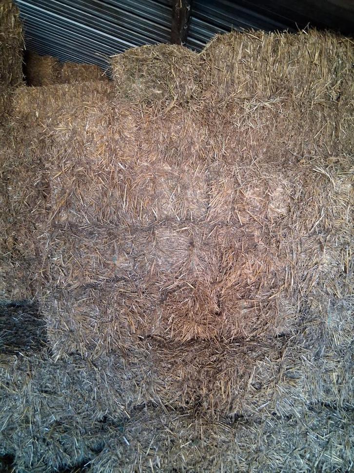 Stro pakken 18 kg, Dieren en Toebehoren, Dierenvoeding, Ophalen of Verzenden