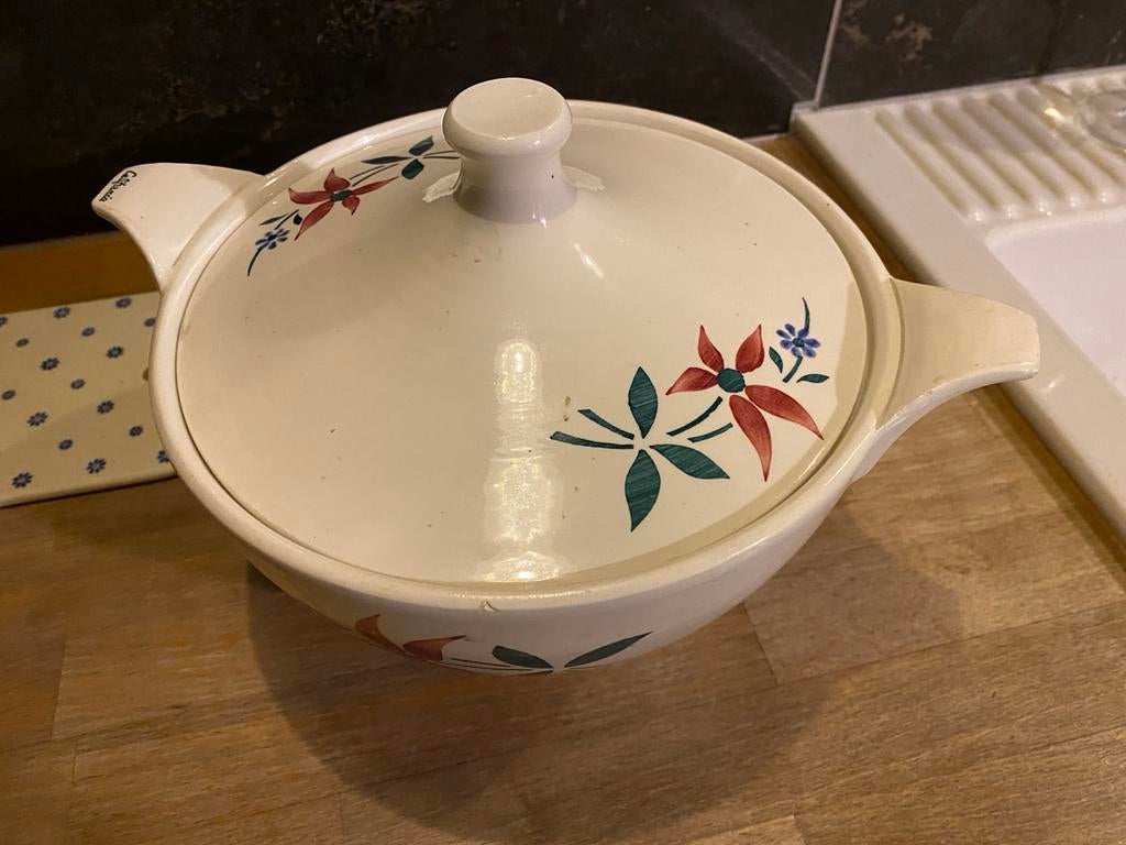 Vintage California Soepterrine - Jaren '50/'60, Antiek en Kunst, Ophalen