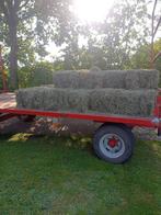 Baaltjes hooi / hooibalen, Dieren en Toebehoren, Ophalen, Vee