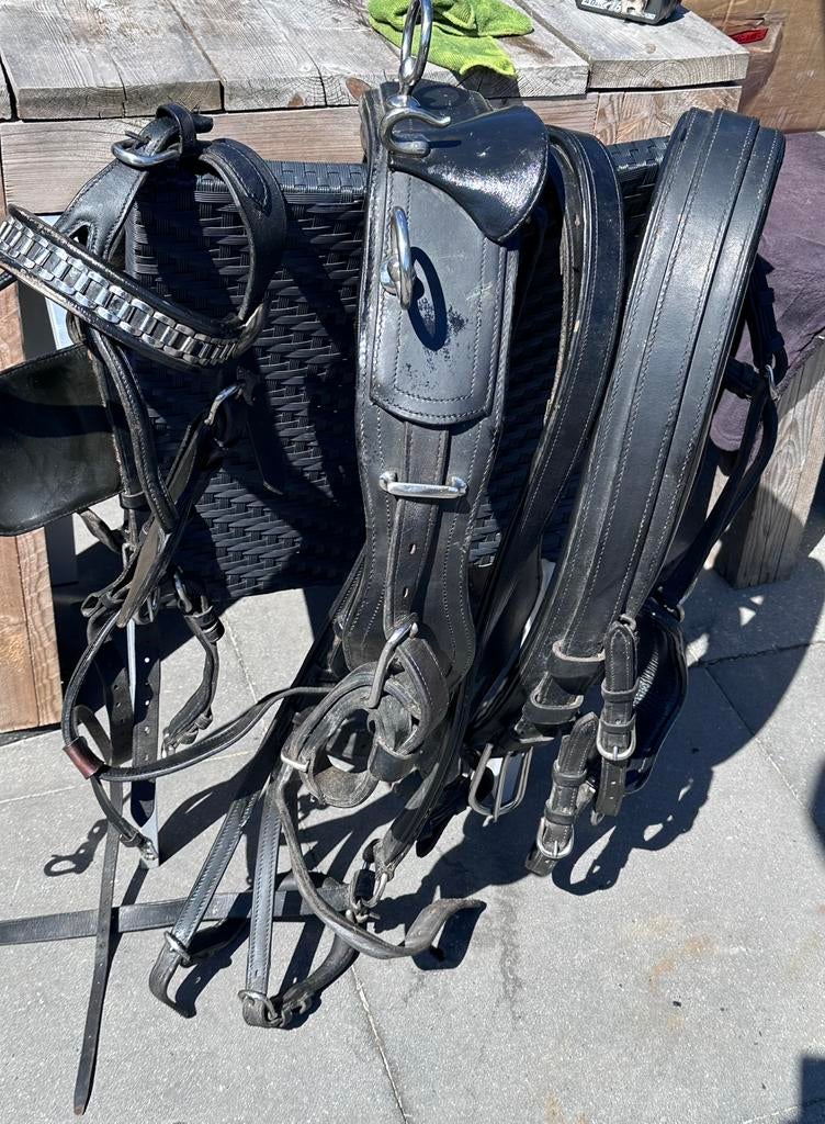 Mentuig full, Dieren en Toebehoren, Ophalen of Verzenden, Zo goed als nieuw, Overige soorten