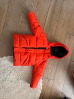 Winterjas gratis, Ophalen, Gebruikt, Jongen of Meisje, Jas