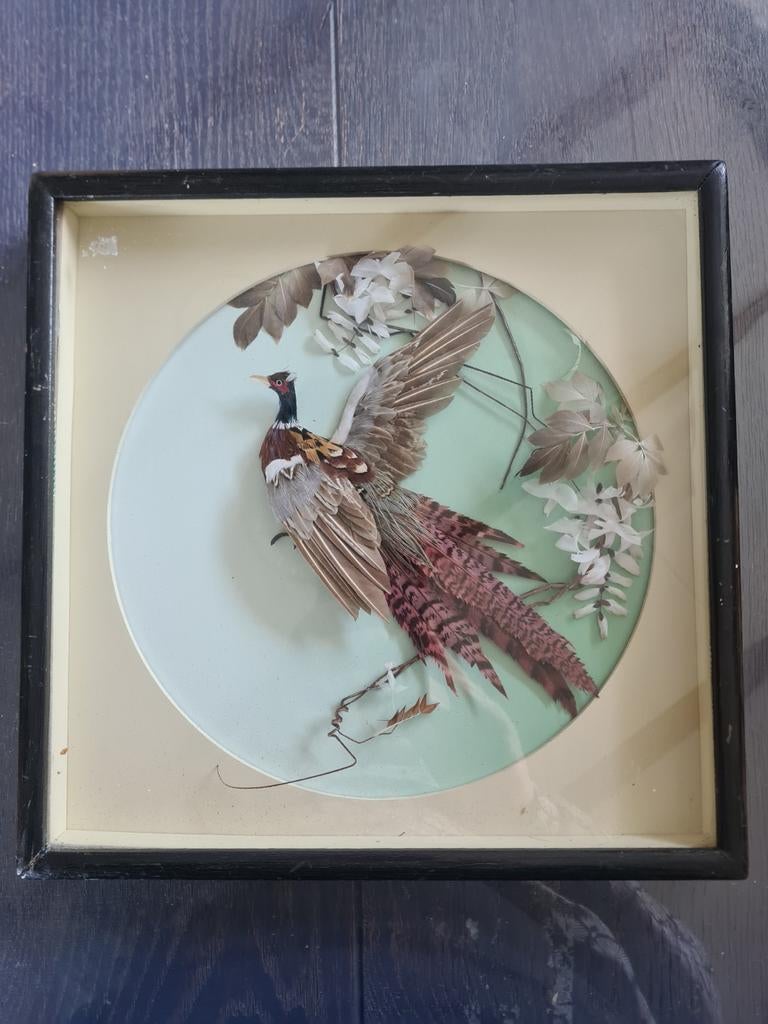 Vogel gemaakt van vogelveertjes - handmade - 30x30x3, Ophalen of Verzenden