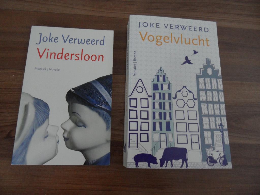 Vindersloon/Vogelvlucht- Joke Verweerd, Ophalen of Verzenden, Gelezen