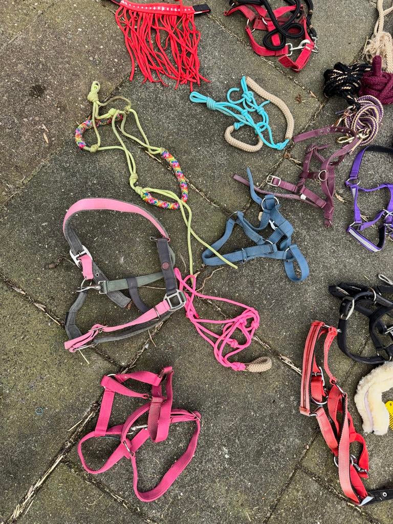 Groot paarden pakket diverse spullen!, Ophalen of Verzenden, Nieuw, Dressuur