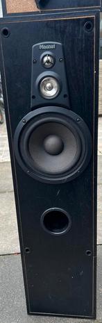Twee luidsprekers van Magnat, Audio, Tv en Foto, Luidsprekers, Ophalen, Gebruikt, Magnat, 120 watt of meer
