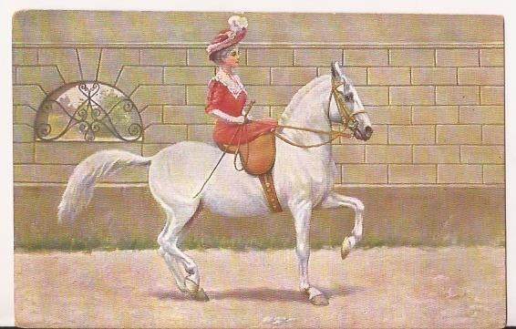 Amazone op wit paard Schimmel 30er jaren, Ophalen of Verzenden, 1920 tot 1940, Ongelopen, Sport en Spel