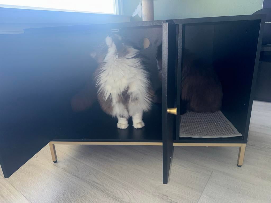 Katten meubel, Dieren en Toebehoren, Ophalen, Nieuw