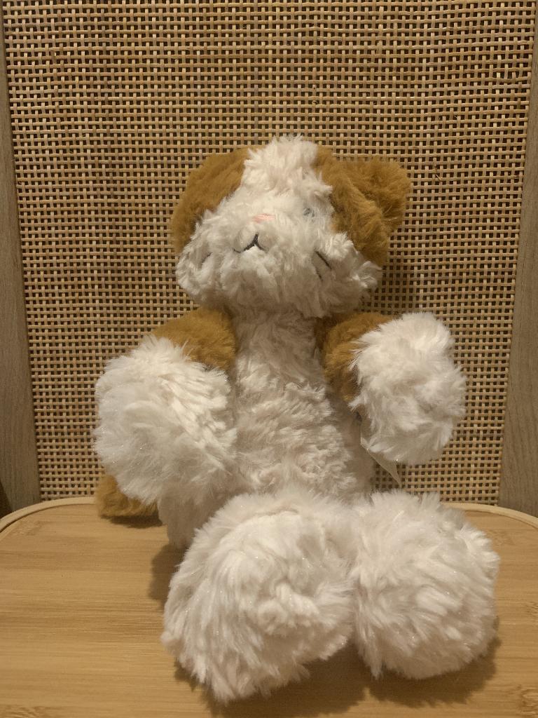 HEMA pluche kat knuffel, Ophalen of Verzenden, Zo goed als nieuw