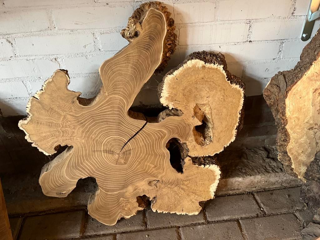 Unieke boomstamschijven vanaf 10 cm div soorten op voorraad, Ophalen, Nieuw, 75 cm of meer, 60 cm of meer