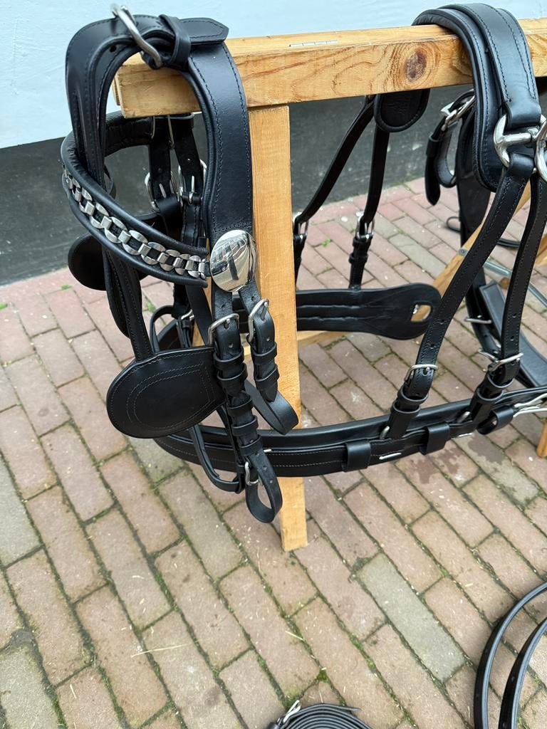 Zwart Enkelspan tuig nieuw, Ophalen of Verzenden, Nieuw