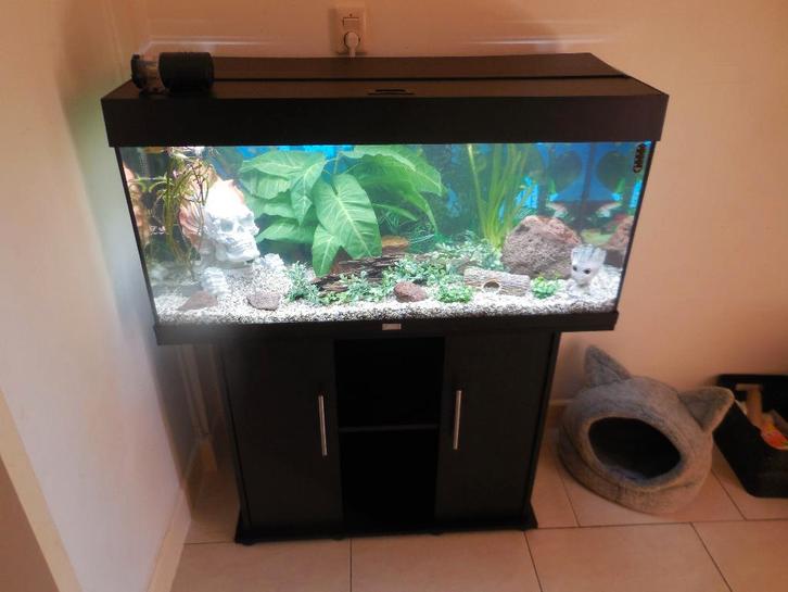 complete juwel rio 180 led met toebehoren, Dieren en Toebehoren, Vissen | Aquaria en Toebehoren, Gebruikt, Gevuld zoetwateraquarium