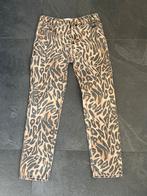 Panterbroek 146/152, Ophalen of Verzenden, Gebruikt, Meisje, Broek