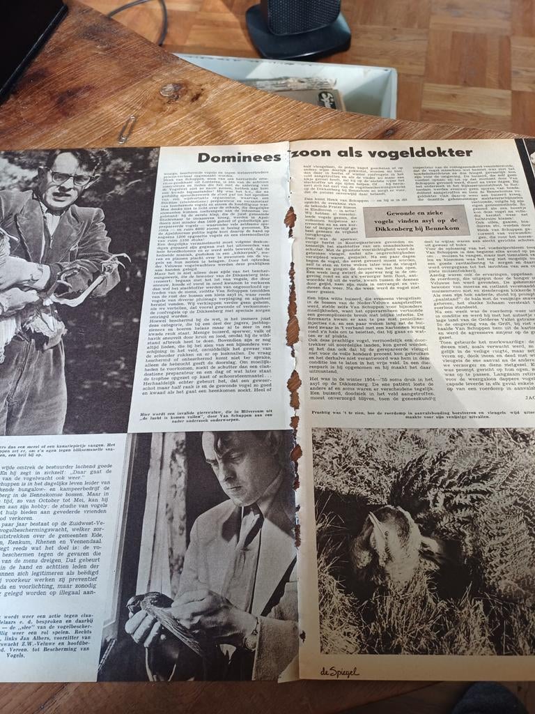 Artikel over domineeszoon vogeldokter Van Schuppen Lunteren, Verzamelen, Tijdschriften, Kranten en Knipsels, Ophalen of Verzenden