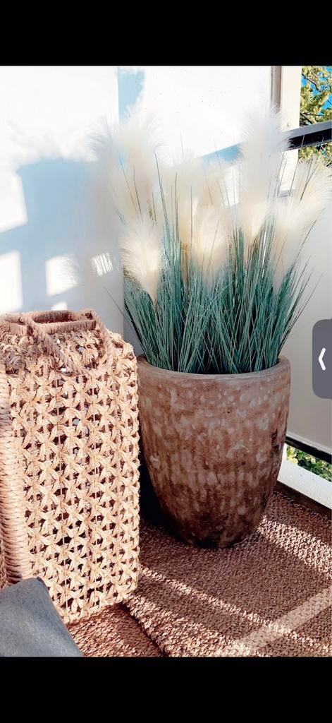 Bloempot met pampasgras, 25 tot 40 cm, Gebruikt, Rond, Binnen