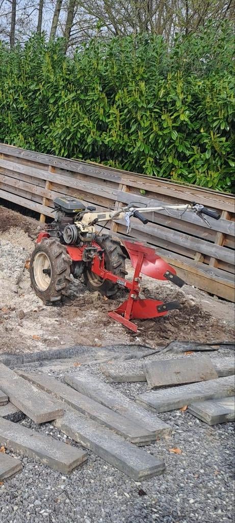 Tuinvrees met ploeg, Ophalen of Verzenden