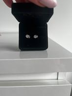 Franky Amsterdam - De Essential studs, Overige materialen, Nieuw, Ophalen of Verzenden, Knopjes of Stekers