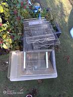 6 fok bakken muis of hamster, Dieren en Toebehoren, Ophalen of Verzenden, Zo goed als nieuw, Hout, Vogelkooi