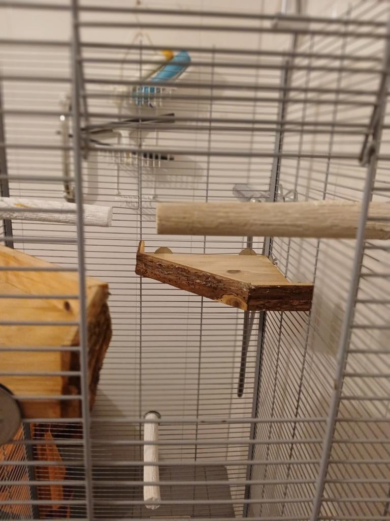 Vogel / papegaaien kooi., Dieren en Toebehoren, Ophalen of Verzenden, Zo goed als nieuw, Metaal, Vogelkooi