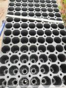 25 Professionele 104-gaats Stek & Zaaitrays €18.75, Tuin en Terras, Overige materialen, De Triemen 5A 9296 MB de Trieme, Rond