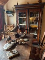 Opgezette dieren.  (Eekhoorn is verkocht), Verzamelen, Ophalen, Gebruikt, Wild dier, Opgezet dier