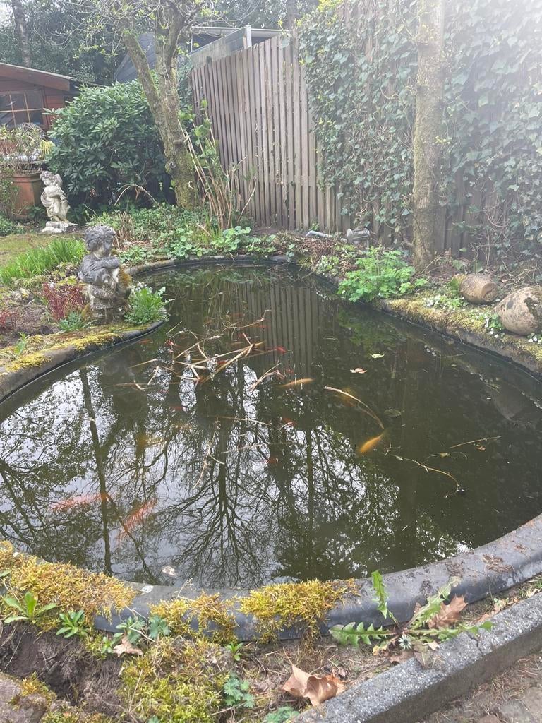 Ukkink Vijverbak met vissen, Tuin en Terras, Ophalen, Gebruikt