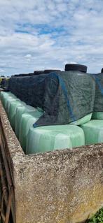 Snijmais, Ophalen of Verzenden, Vee