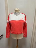 Puma trui maat xs voor 10 euro, Kleding | Dames, Ophalen of Verzenden, Zo goed als nieuw, Maat 34 (XS) of kleiner, Zwart