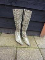 CARNAVAL, schoenen, laarzen, dames, groen, 4, Kleding | Dames, Maat 38/40 (M), Carnaval, Ophalen of Verzenden, Zo goed als nieuw