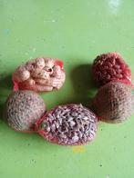 Vogel voer pinda mix, Petra, Nieuw, Ophalen of Verzenden, Lapis.rosa@hotmail.com