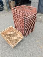 16 brood kratten, Doe-het-zelf en Verbouw, Kratten en Dozen, Gebruikt, 40 tot 60 cm, 50 tot 75 cm, Minder dan 35 cm