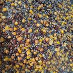 Tijgernoten,Boekweit,Hennep,Rode en Gele Mais, Ophalen of Verzenden, Nieuw, Overige typen