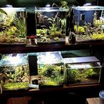 3x Dennerle nano cubes complete set, Dieren en Toebehoren, Vissen | Aquaria en Toebehoren, Ophalen, Zo goed als nieuw, Leeg aquarium