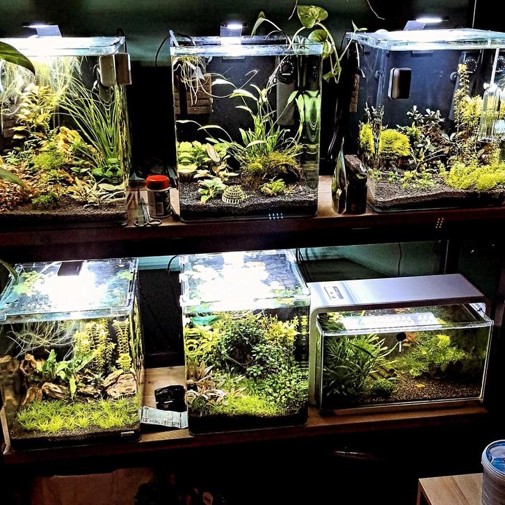 3x Dennerle nano cubes complete set, Dieren en Toebehoren, Vissen | Aquaria en Toebehoren, Zo goed als nieuw, Leeg aquarium, Ophalen