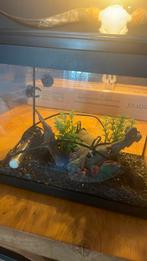 Complete mooie startbak incl visje, Ophalen of Verzenden, Zo goed als nieuw, Leeg aquarium