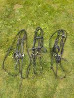 Drie hoofdstellen maat full, Dieren en Toebehoren, Paarden en Pony's | Hoofdstellen en Tuigage, Ophalen of Verzenden