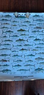 26 Vis Posters - Tonijn & Makreel, Ophalen of Verzenden, Natuur en Biologie