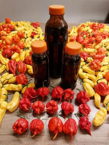 Ketjap sambal met madame jeanette of Carolina Reaper beschikbaar voor biedingen