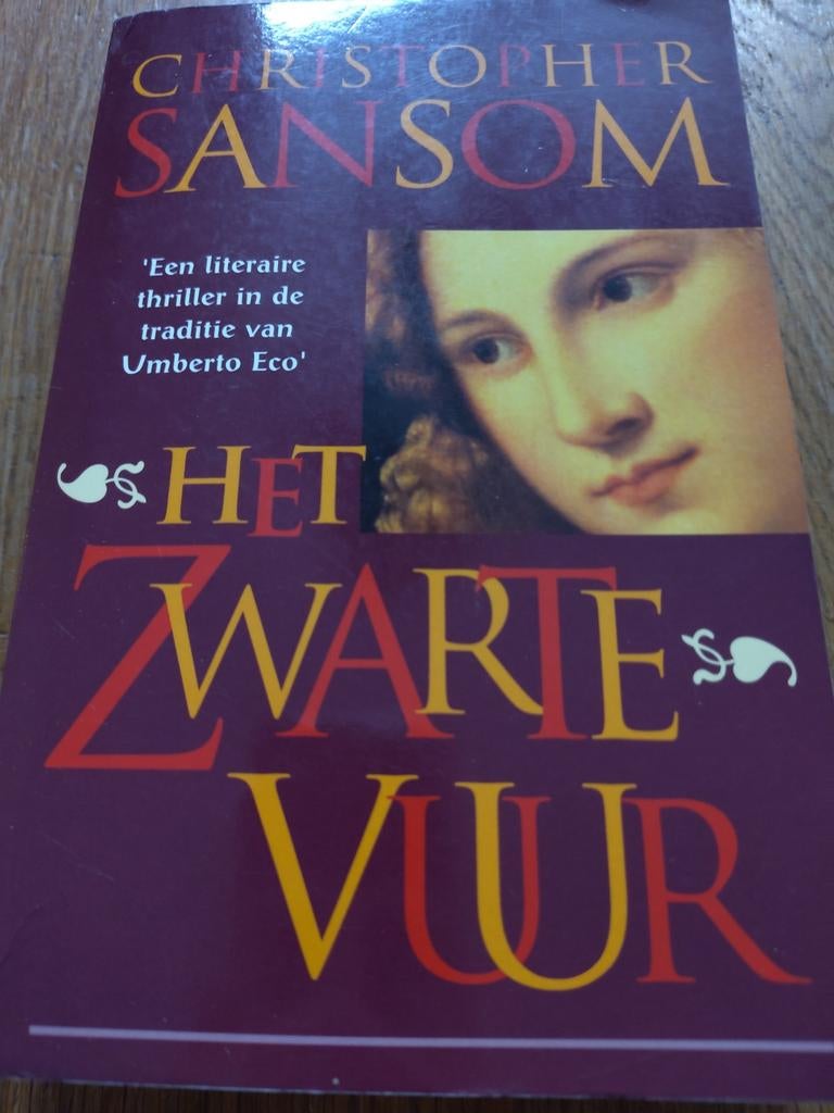 Het Zwarte vuur van C.J. Sansom, Boeken, Ophalen of Verzenden