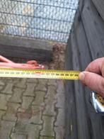 Stallingstrailer zeilboot zelfbouw, 100 liter of meer, Ophalen, Gebruikt, Transportkar