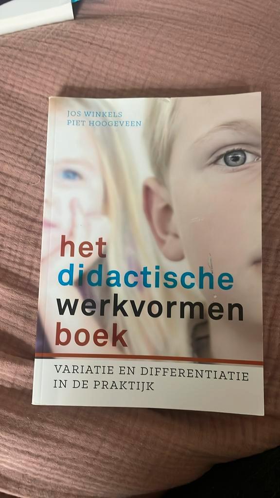 Piet Hoogeveen - Het didactische werkvormenboek, Boeken, Wetenschap, Zo goed als nieuw, Ophalen of Verzenden