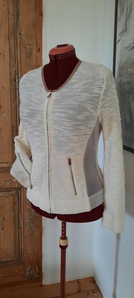 Silvian Heach prachtig kort jasje maat L/40, Kleding | Dames, Jasjes, Kostuums en Pakken, Nieuw, Jasje, Maat 38/40 (M), Ophalen of Verzenden