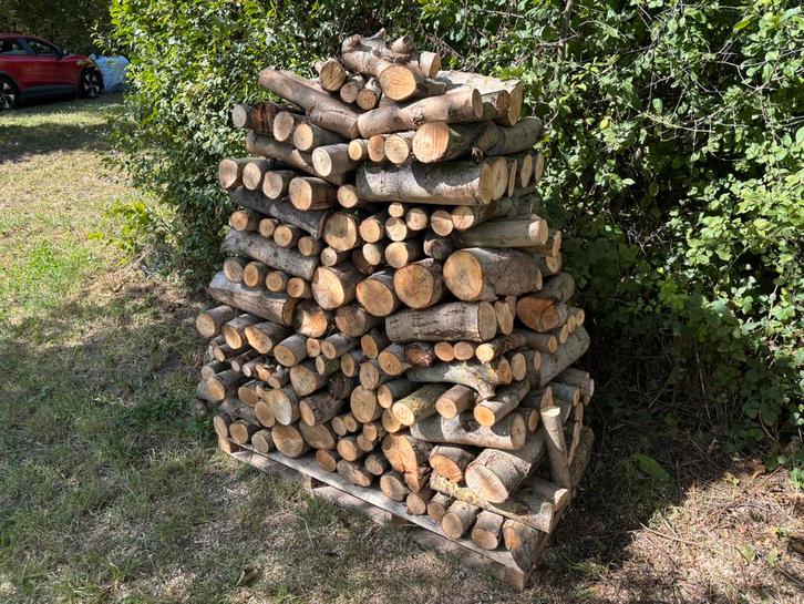 Haardhout Brandhout wilg, Tuin en Terras, Haardhout, Blokken, Overige houtsoorten, 3 tot 6 m³, Ophalen of Verzenden