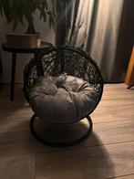 Hangstoel kat of kleine hond., Dieren en Toebehoren, Kattenmanden, Ophalen of Verzenden, Zo goed als nieuw, Riet