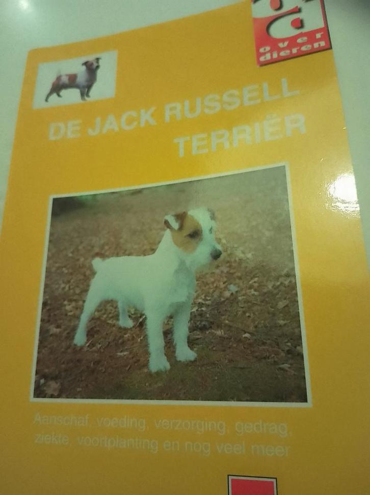 De Jack Russell terrier, Boeken, Dieren en Huisdieren, Zo goed als nieuw, Honden, Ophalen of Verzenden