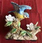 Ijsvogel, Ophalen of Verzenden