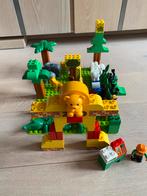 Duplo: uitgebreide dierentuin met 14 dieren, Ophalen of Verzenden, Zo goed als nieuw, Duplo