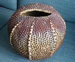 Zee-egelvaas Des Pots, Gebruikt, Overige kleuren, Aardewerk of Porselein, Ophalen of Verzenden