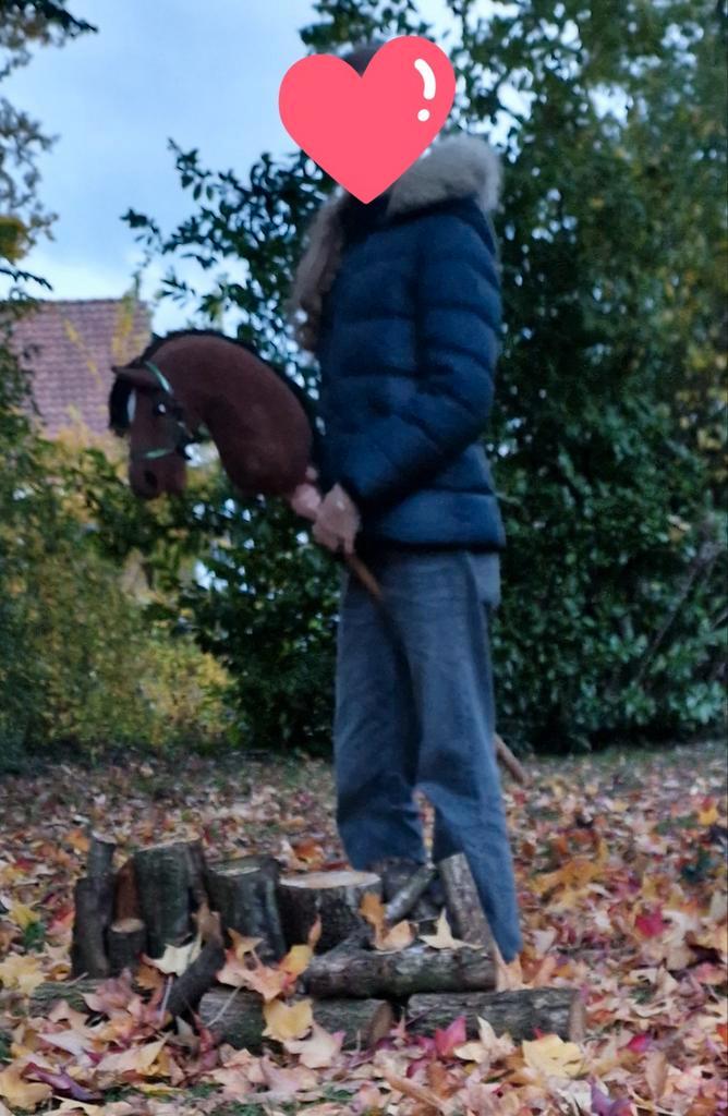 Hobby horse tuig op aanvraag, Dieren en Toebehoren, Overige Dieren-accessoires, Nieuw, Ophalen of Verzenden