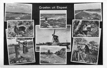 (300-066-021) Elspeet Groeten uit beschikbaar voor biedingen