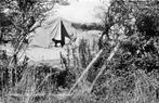(377-149-003) Vrouwenpolder Camping De Zandput, Verzenden, Zeeland